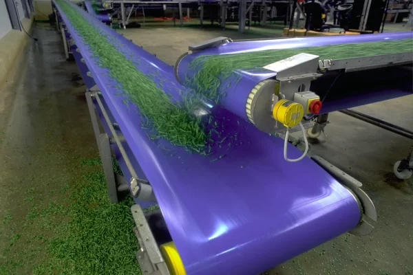 PVC Conveyor Belts